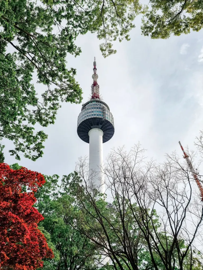 Tháp Namsan giữa tán cây, Seoul, Hàn Quốc