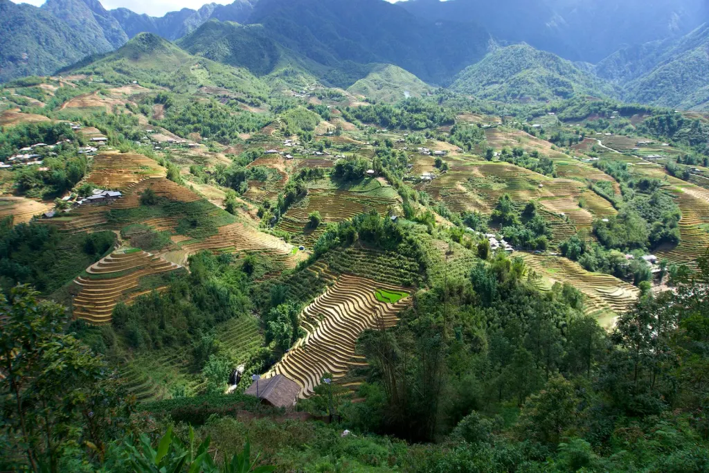 Ruộng bậc thang trong thung lũng Mường Hoa, Sa Pa, Lào Cai